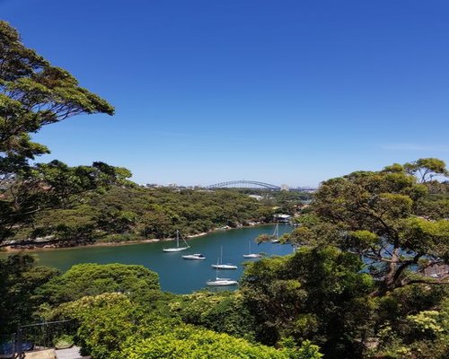 Sydney Harbour view representing a premium gallery escape concept